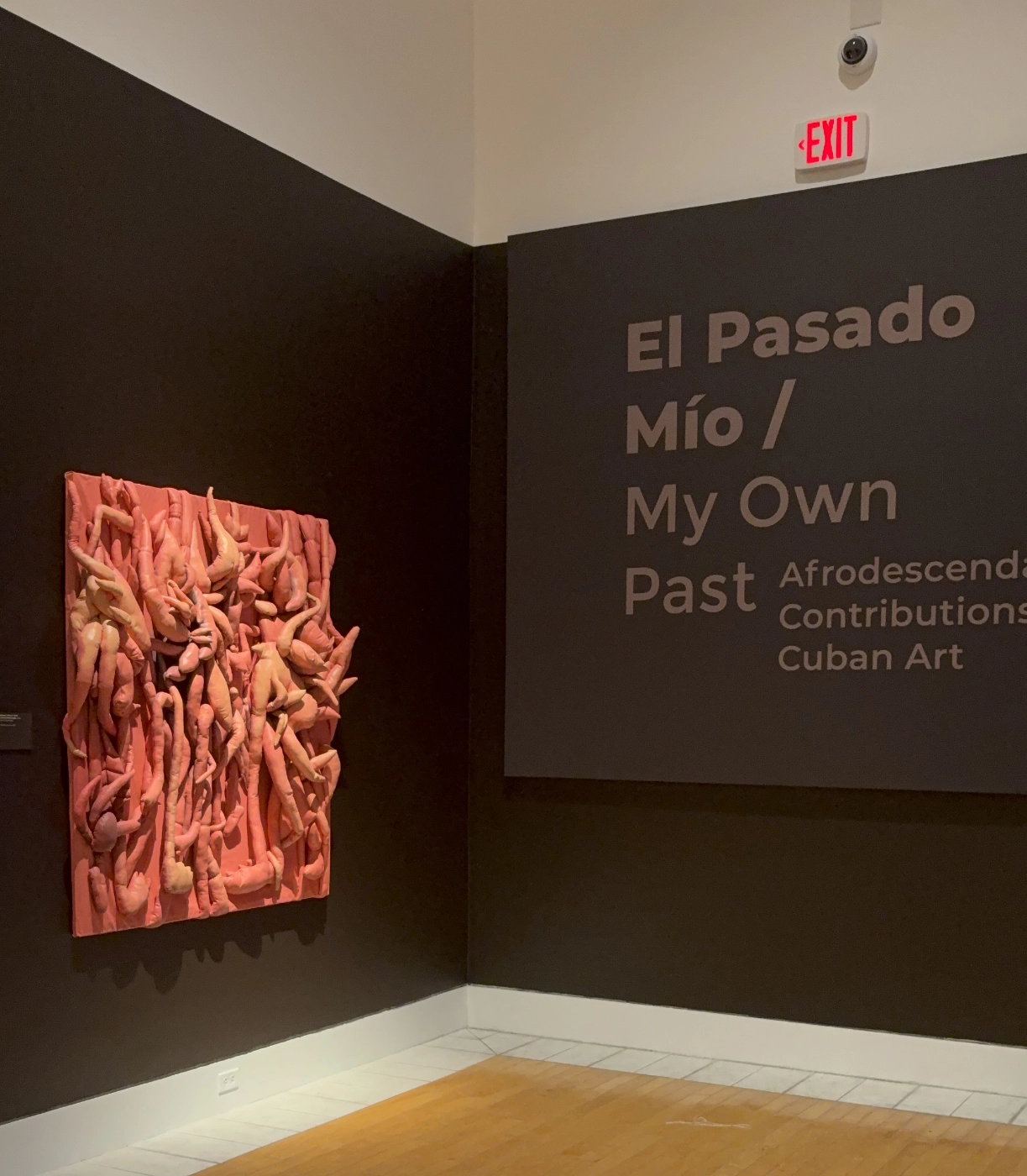 lowe museum miami